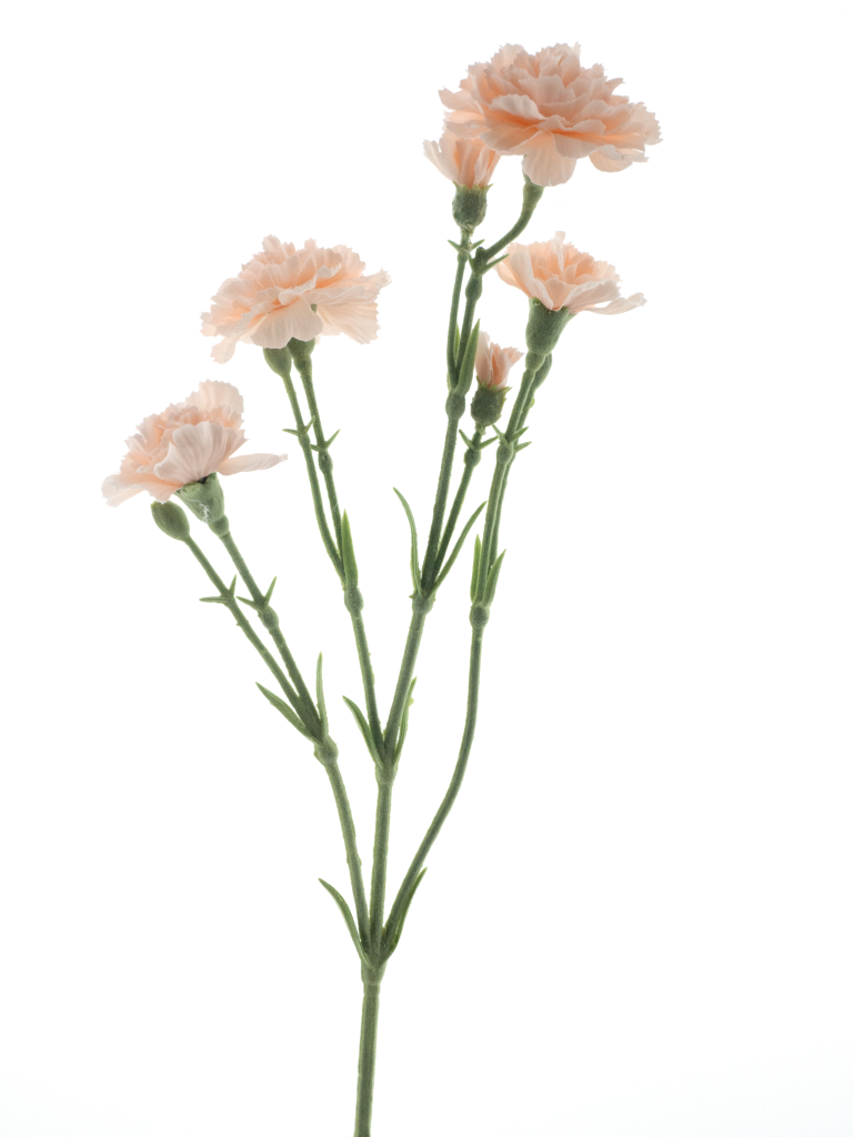 Nova nature Dianthus Charly lt peach 62 cm kunstbloem  - 