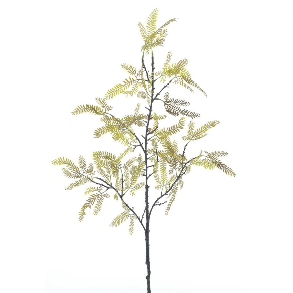https://cdn.warentuin.nl/media/catalog/product/S/C/SCAN8505413599018_mimosa_spray_groen_119_cm_kunsttak_buiteng_ce5f.jpg