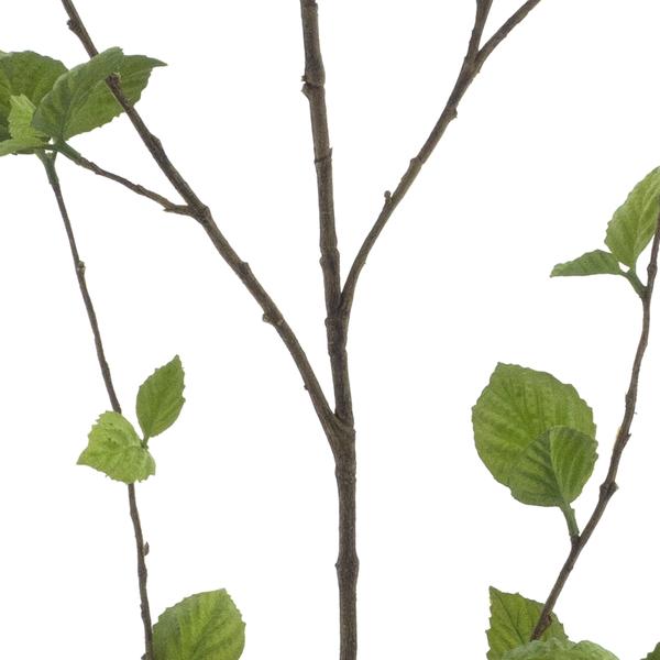 https://cdn.warentuin.nl/media/catalog/product/S/C/SCAN8505422015011_01_fagus_spray_green_163cm_e84c.jpg