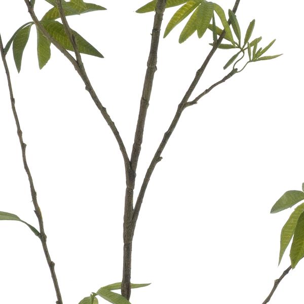 https://cdn.warentuin.nl/media/catalog/product/S/C/SCAN8505422016018_01_spring_leaf_branch_green_170cm_27de.jpg
