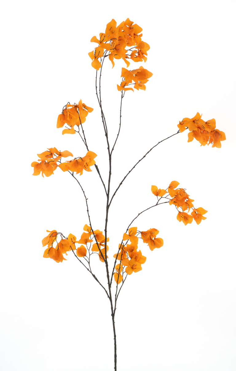 https://cdn.warentuin.nl/media/catalog/product/S/C/SCAN8505422025058_bougainvillea_branch_ibiza_orange_175cm_d7f6.png