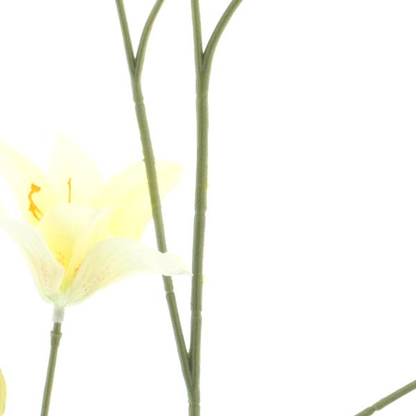 https://cdn.warentuin.nl/media/catalog/product/S/C/SCAN8505422040020_01_day_lily_spray_yellow_106cm_e237.jpg