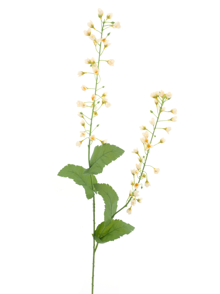 https://cdn.warentuin.nl/media/catalog/product/S/C/SCAN8505422041003_mini_flower_branch_cream_108cm_3e5d.png