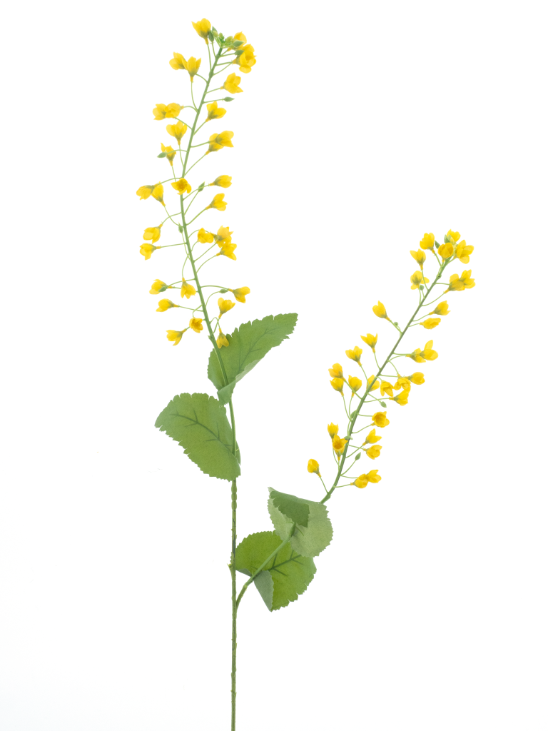 https://cdn.warentuin.nl/media/catalog/product/S/C/SCAN8505422041027_mini_flower_branch_yellow_108cm_24db.png