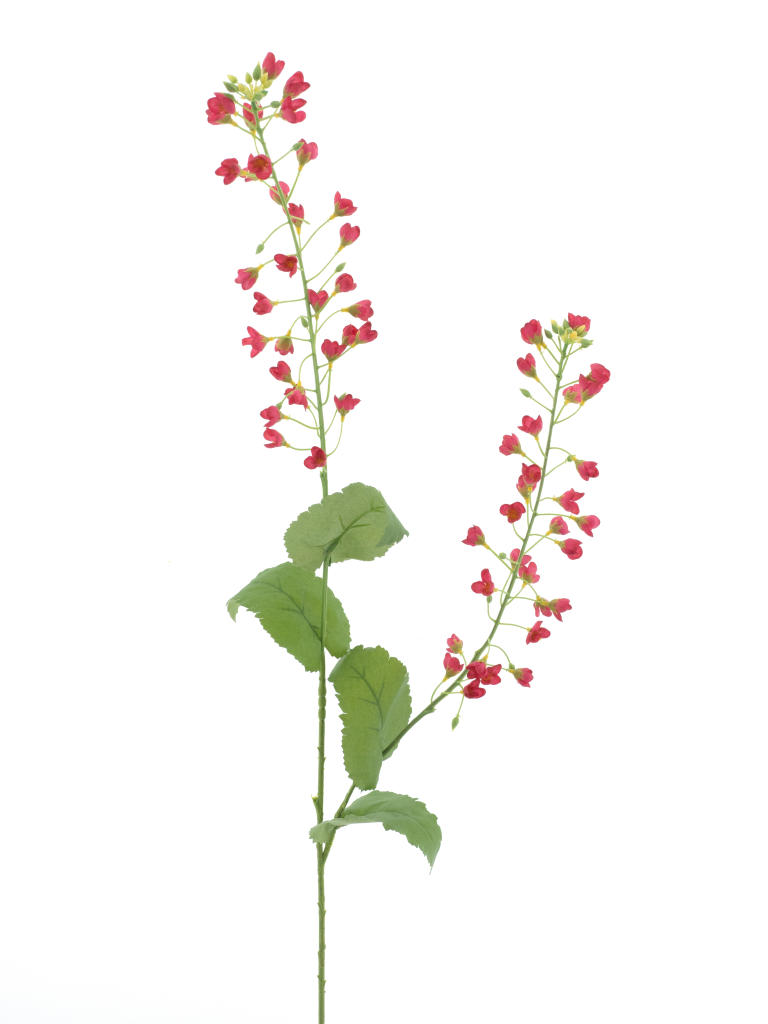https://cdn.warentuin.nl/media/catalog/product/S/C/SCAN8505422041034_mini_flower_branch_red_108cm_aad8.png