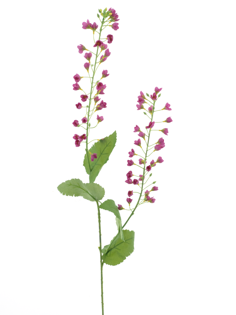 https://cdn.warentuin.nl/media/catalog/product/S/C/SCAN8505422041065_mini_flower_branch_beauty_108cm_5cf2.png