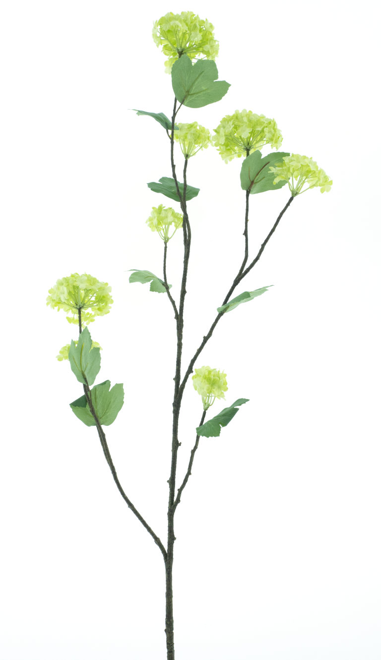 https://cdn.warentuin.nl/media/catalog/product/S/C/SCAN8505422044011_snowball_branch_yoko_green_118cm_975d.png