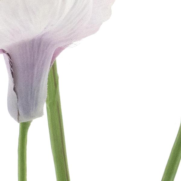 https://cdn.warentuin.nl/media/catalog/product/S/C/SCAN8505422051071_01_iris_spray_fletcher_pink_103cm_4e62.jpg