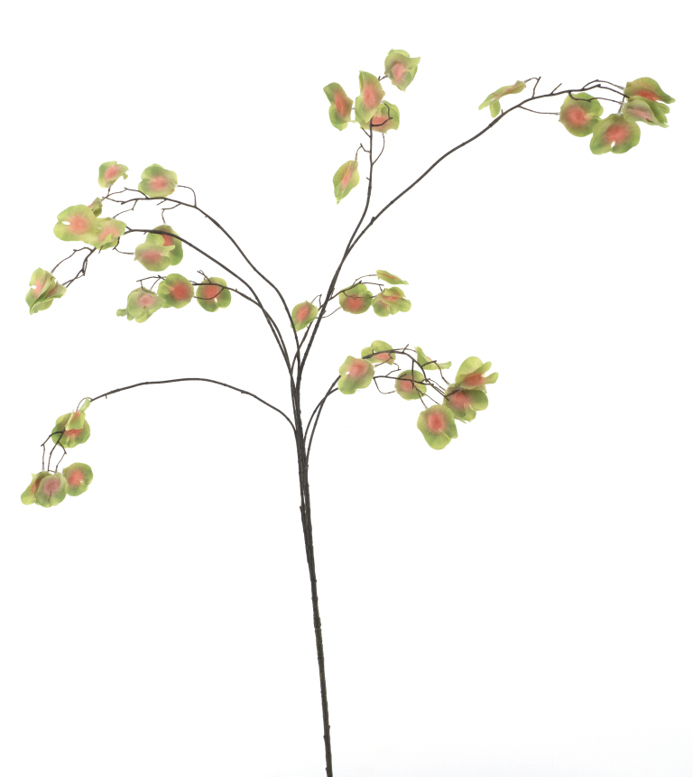 https://cdn.warentuin.nl/media/catalog/product/S/C/SCAN8505422059015_sweet_pea_branch_green_138cm_d4da.png