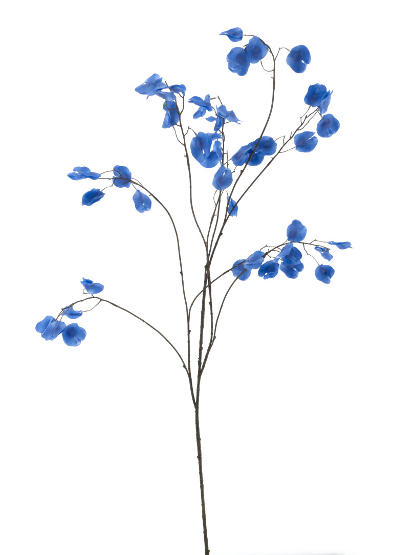 https://cdn.warentuin.nl/media/catalog/product/S/C/SCAN8505422059046_sweet_pea_branch_blue_138cm_dddc.png