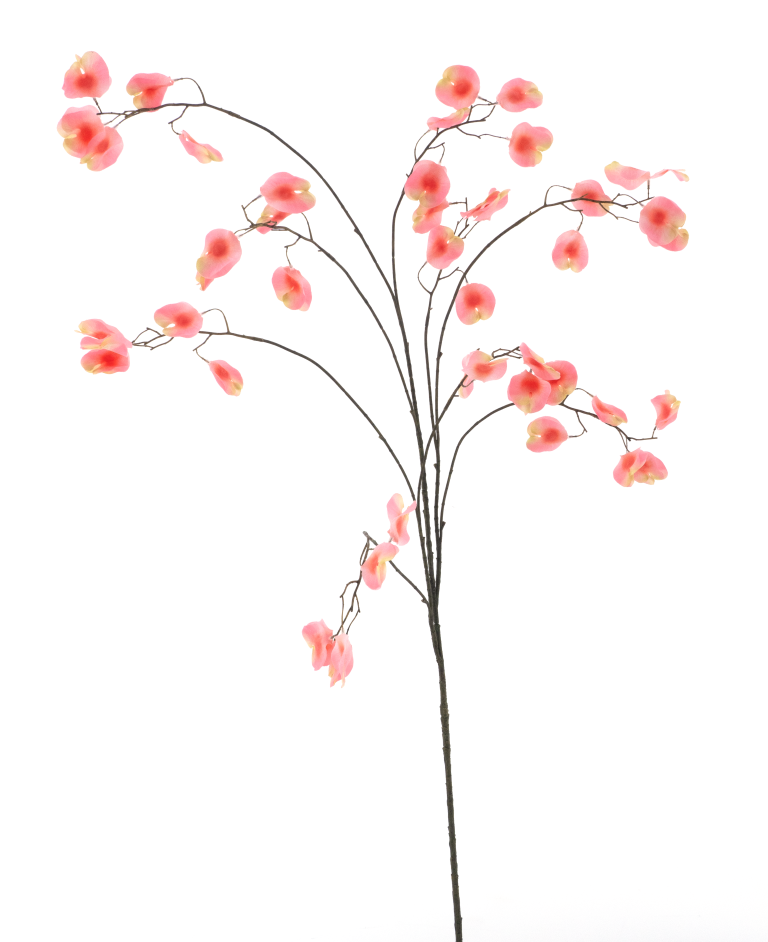 https://cdn.warentuin.nl/media/catalog/product/S/C/SCAN8505422059053_sweet_pea_branch_lt_pink_138cm_843d.png