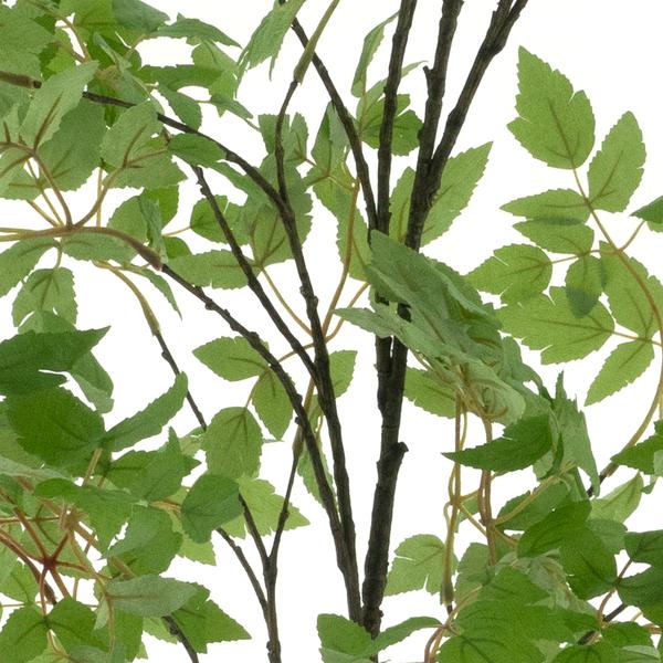 https://cdn.warentuin.nl/media/catalog/product/S/C/SCAN8505422067010_01_birch_tree_green_196cm_eb23.jpg