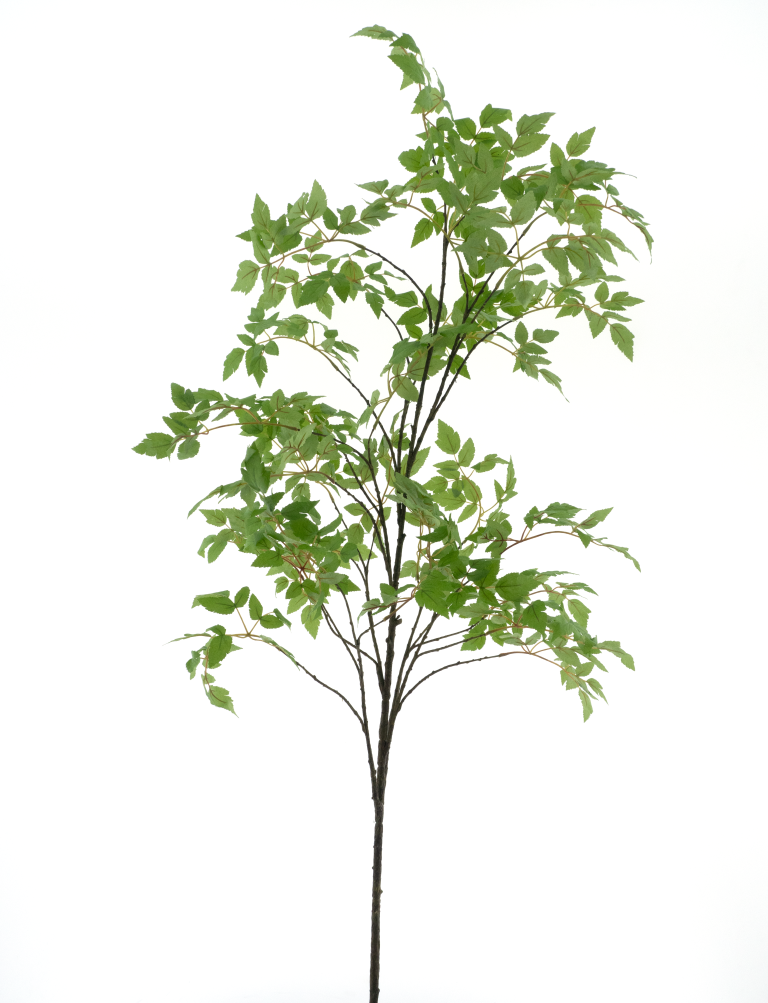https://cdn.warentuin.nl/media/catalog/product/S/C/SCAN8505422067010_birch_tree_green_196cm_5b35.png