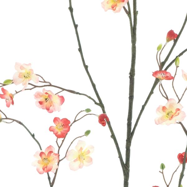 https://cdn.warentuin.nl/media/catalog/product/S/C/SCAN8505422076050_01_mini_daisy_branch_peach_red_172cm_073f.jpg