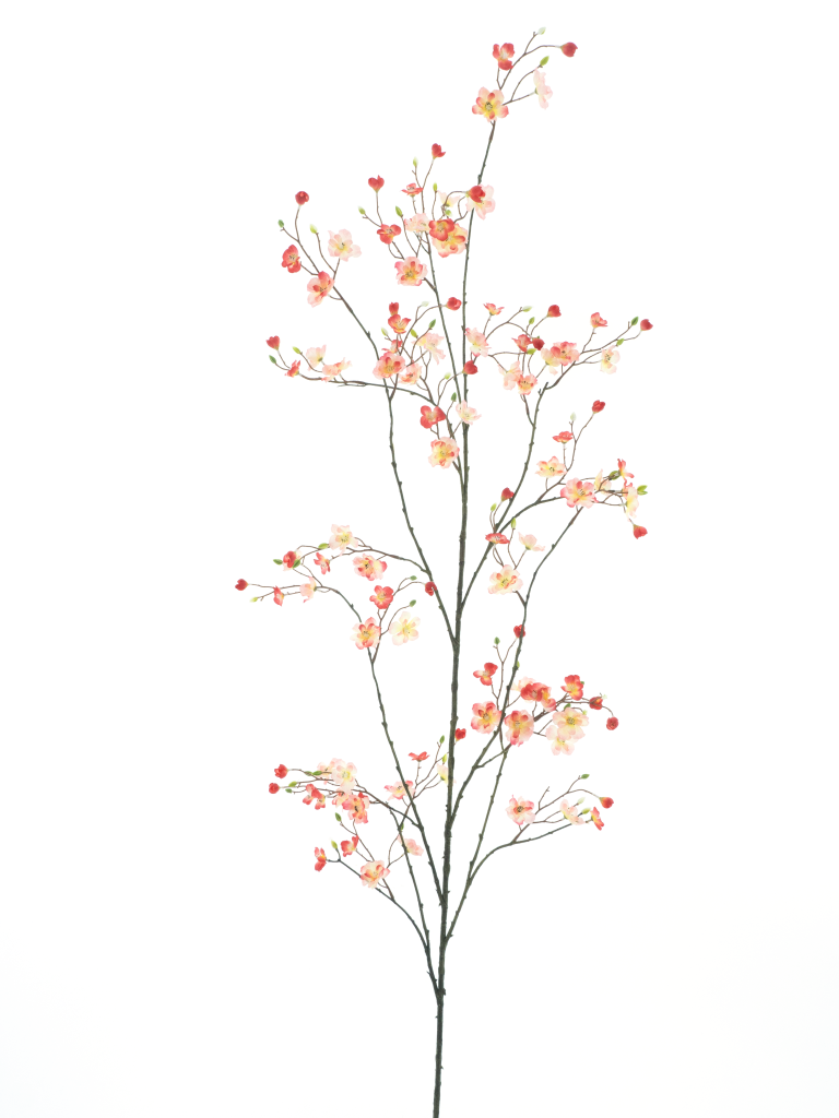 https://cdn.warentuin.nl/media/catalog/product/S/C/SCAN8505422076050_mini_daisy_branch_peach_red_172cm_0847.png