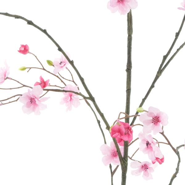 https://cdn.warentuin.nl/media/catalog/product/S/C/SCAN8505422076074_01_mini_daisy_branch_pink_red_172cm_c210.jpg