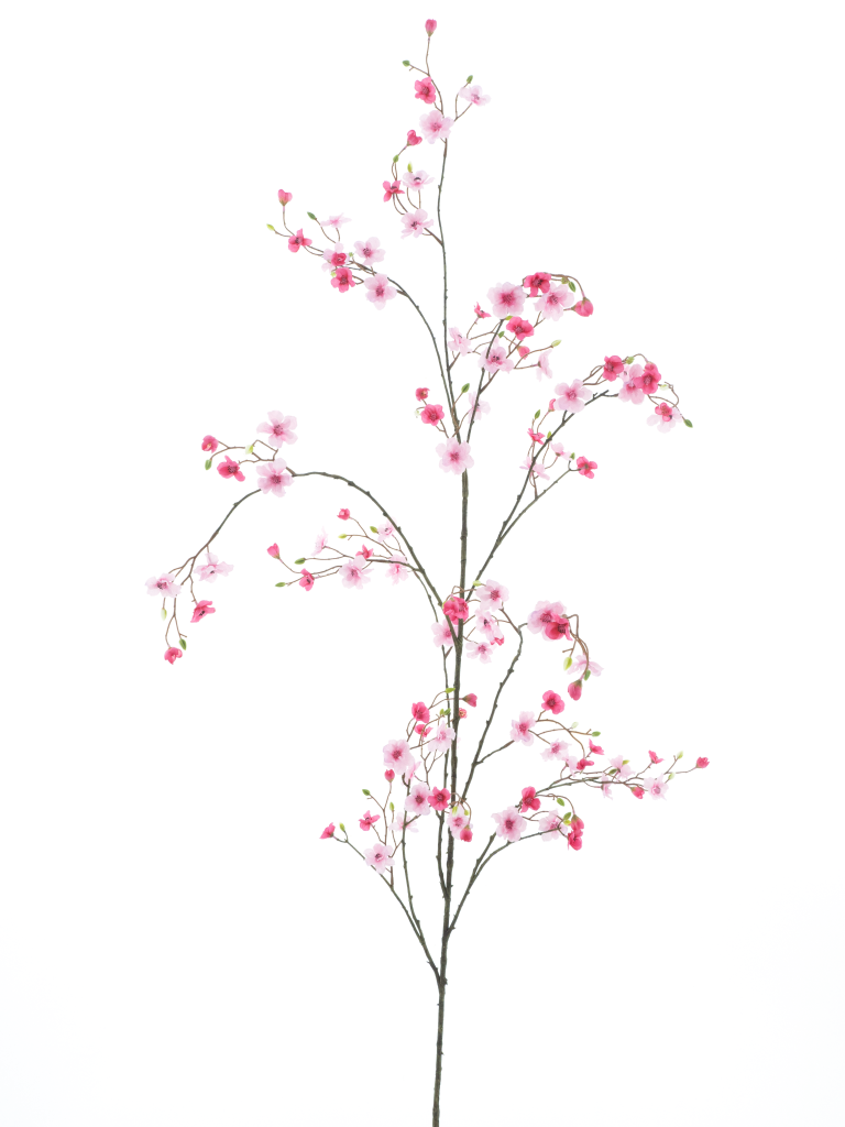 https://cdn.warentuin.nl/media/catalog/product/S/C/SCAN8505422076074_mini_daisy_branch_pink_red_172cm_b873.png