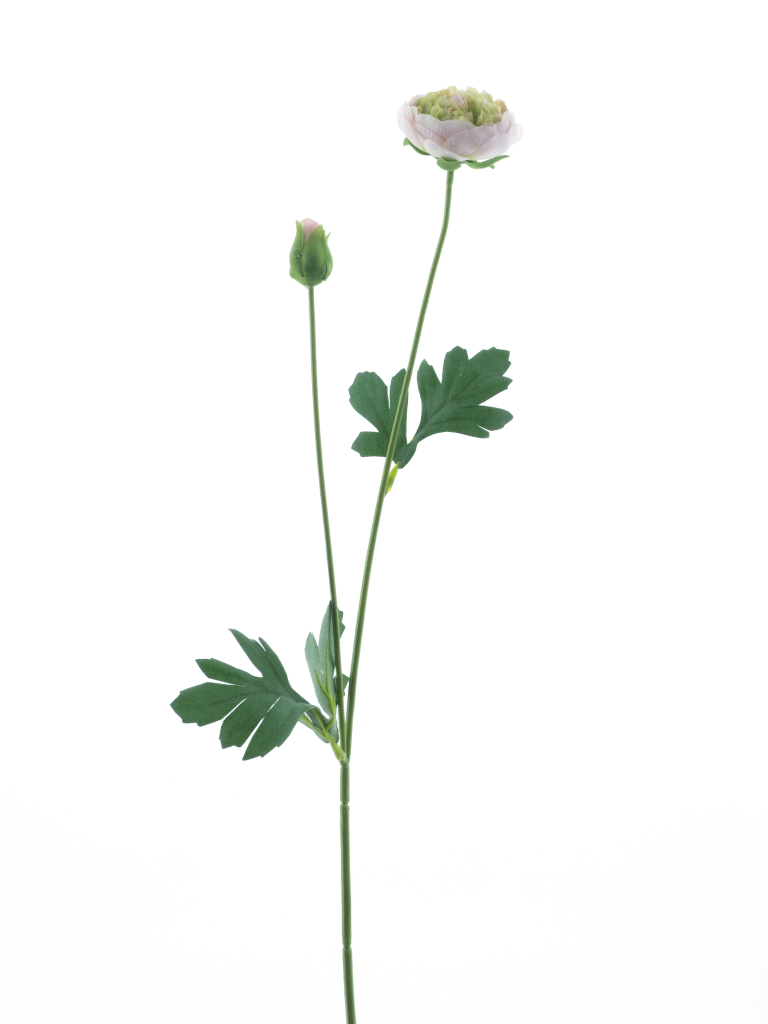 Nova nature New ranunculus spray Flaine lt pink 55 cm kunstbloem  - 