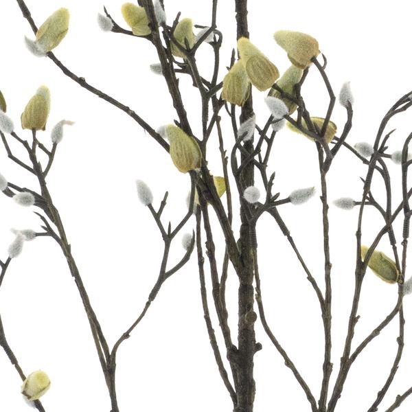 https://cdn.warentuin.nl/media/catalog/product/S/C/SCAN8505422089005_01_magnolia_bud_branch_cream_182cm_b900.jpg