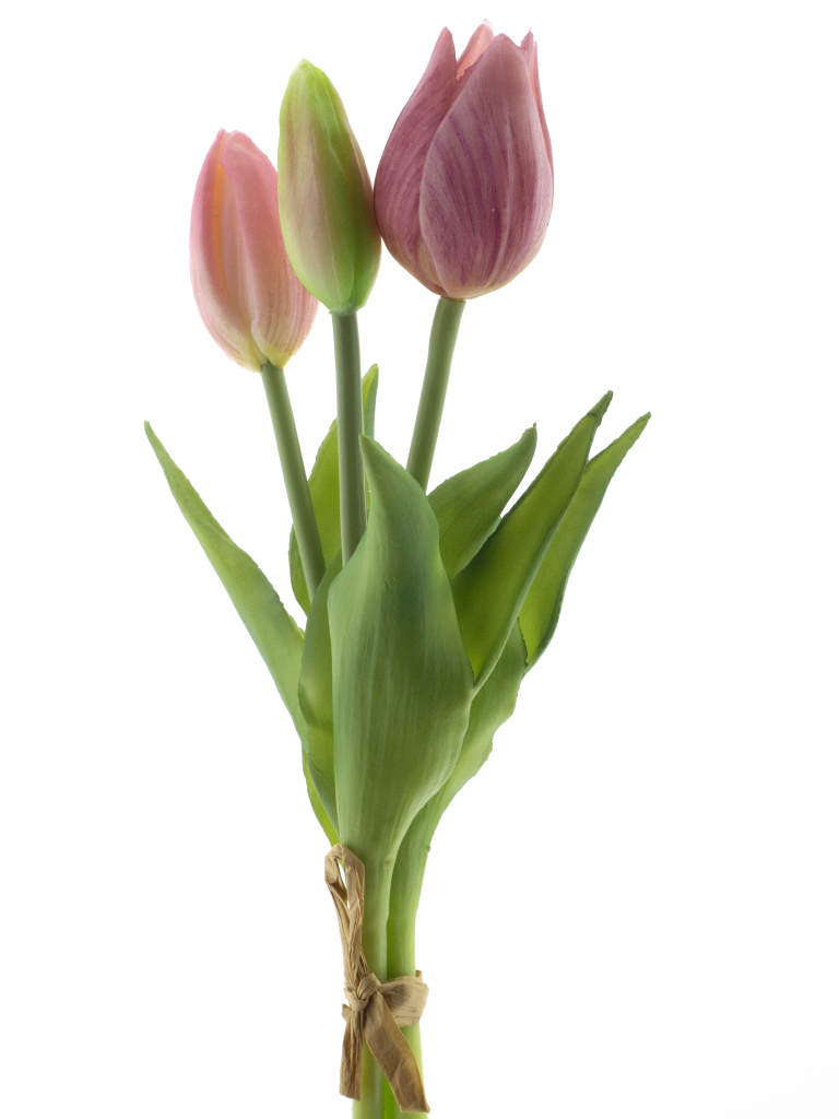 Nova nature PSO Holland Tulip bundle Sally x3 pink 25 cm kunstbloem  - 