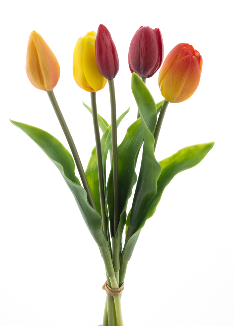 https://cdn.warentuin.nl/media/catalog/product/S/C/SCAN8505422113311_pso_holland_tulip_bundle_sally_red_orange_combo_36cm_33d0.png