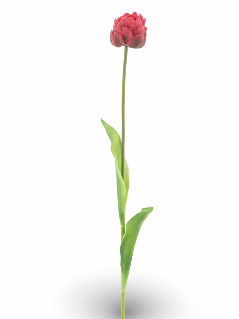 https://cdn.warentuin.nl/media/catalog/product/S/C/SCAN8505422119061_01_afae.png