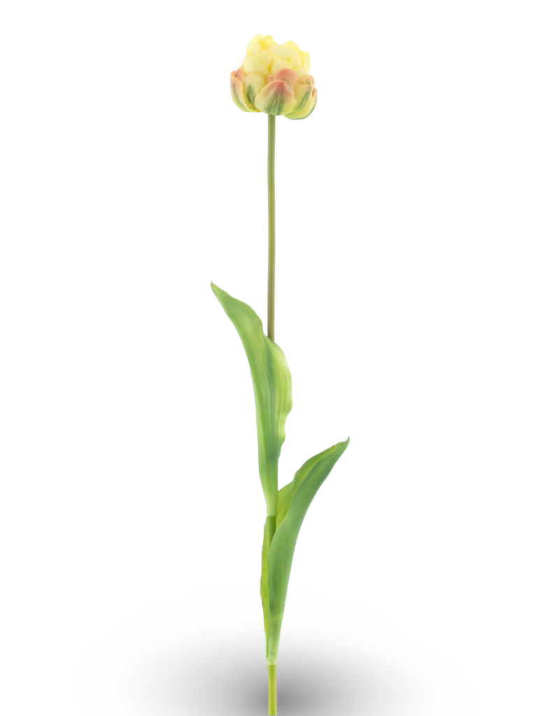 https://cdn.warentuin.nl/media/catalog/product/S/C/SCAN8505422119207_01_6370.png
