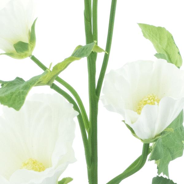 https://cdn.warentuin.nl/media/catalog/product/S/C/SCAN8505422131001_01_alcea_spray_cream_102cm_4ef3.jpg