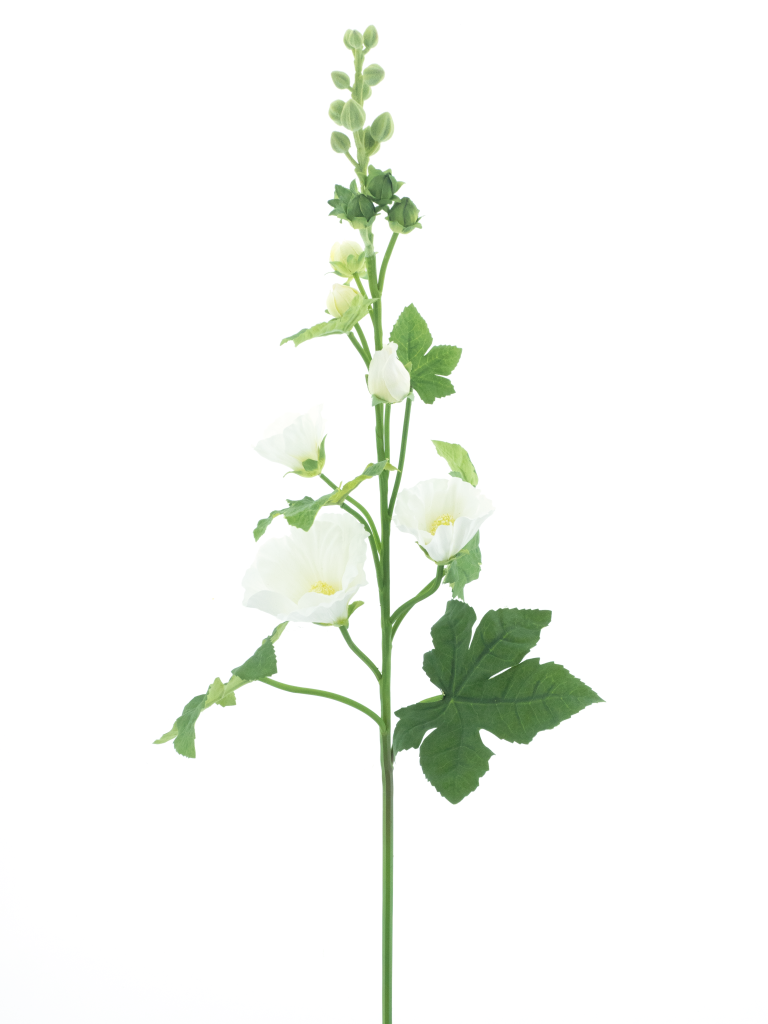 https://cdn.warentuin.nl/media/catalog/product/S/C/SCAN8505422131001_alcea_spray_cream_102cm_402f.png