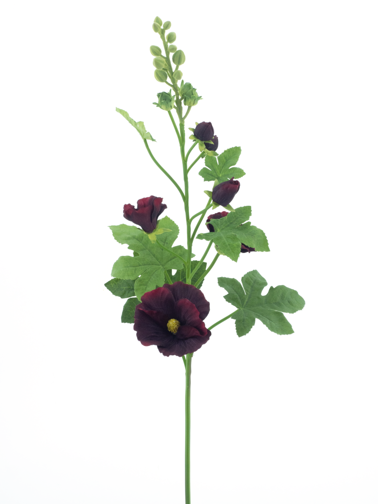 https://cdn.warentuin.nl/media/catalog/product/S/C/SCAN8505422131063_alcea_spray_burgundy_102cm_bf98.png
