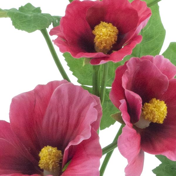 https://cdn.warentuin.nl/media/catalog/product/S/C/SCAN8505422131087_01_alcea_spray_old_pink_102cm_29ea.jpg
