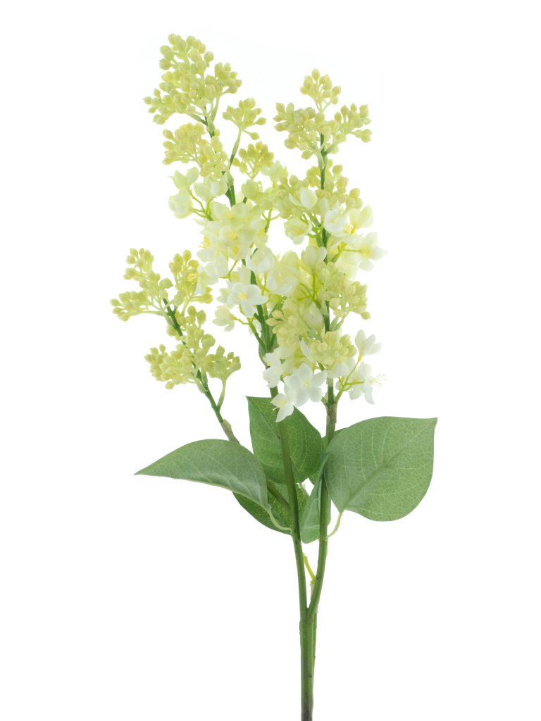 https://cdn.warentuin.nl/media/catalog/product/S/C/SCAN8505422160001_seringa_spray_cork_cream_88cm_319a.png