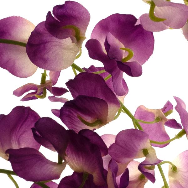 https://cdn.warentuin.nl/media/catalog/product/S/C/SCAN8505422173063_01_sweet_pea_spray_mick_beauty_92cm_0964.jpg