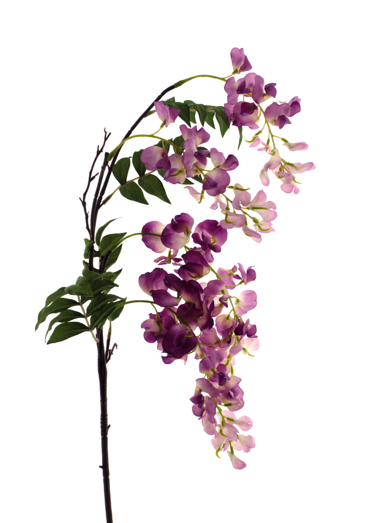 https://cdn.warentuin.nl/media/catalog/product/S/C/SCAN8505422173063_sweet_pea_spray_mick_beauty_92cm_d775.png