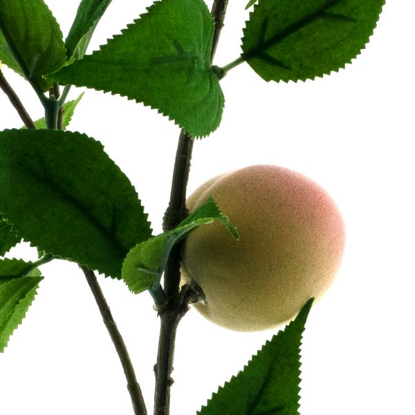 https://cdn.warentuin.nl/media/catalog/product/S/C/SCAN8505422182058_01_peach_spray_orange_76cm_4247.jpg