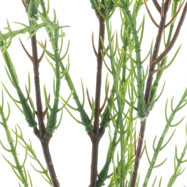 https://cdn.warentuin.nl/media/catalog/product/S/C/SCAN8505422235006_01_wax_flower_spray_cream_78cm_b3f8.jpg