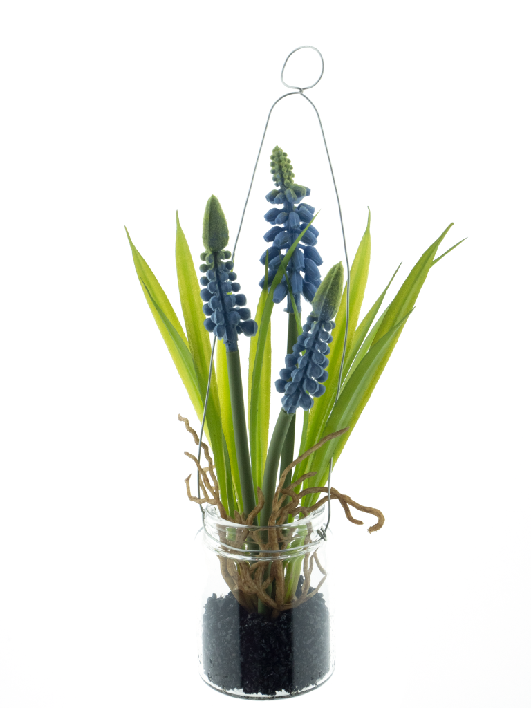 https://cdn.warentuin.nl/media/catalog/product/S/C/SCAN8505422260046_muscari_in_glass_pot_w_hanger_blue_18cm_cdff.png