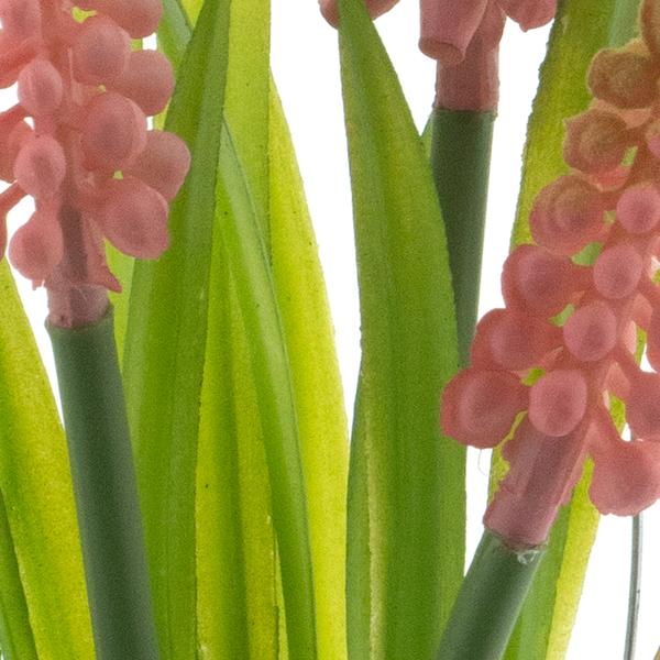 https://cdn.warentuin.nl/media/catalog/product/S/C/SCAN8505422260077_01_muscari_in_glass_pot_w_hanger_pink_18cm_6999.jpg