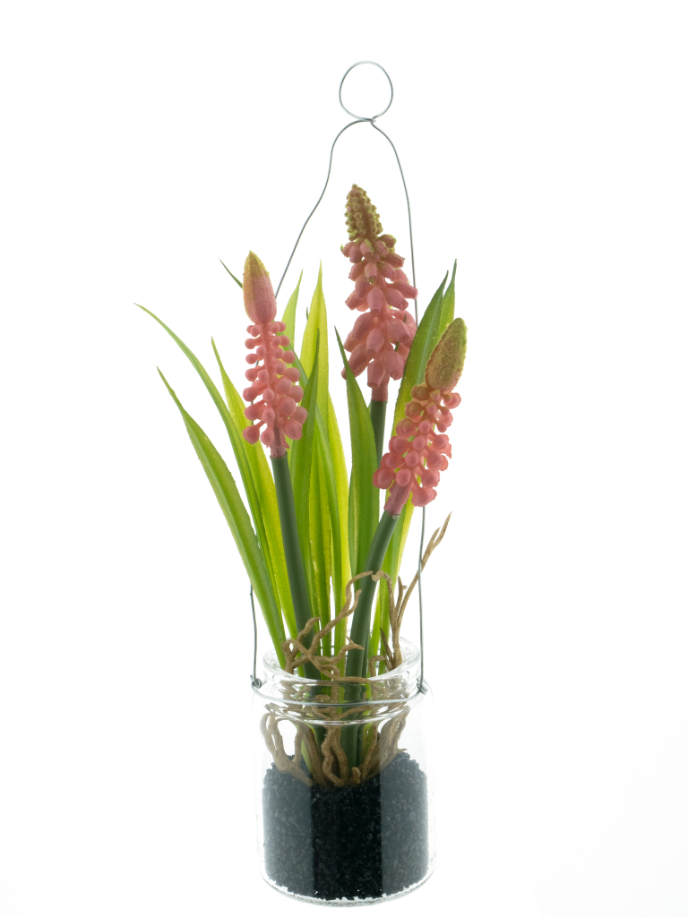 https://cdn.warentuin.nl/media/catalog/product/S/C/SCAN8505422260077_muscari_in_glass_pot_w_hanger_pink_18cm_d405.png