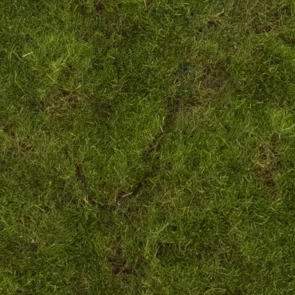 https://cdn.warentuin.nl/media/catalog/product/S/C/SCAN8505422276016_01_moss_mat_green_100x100cm_5d03.jpg