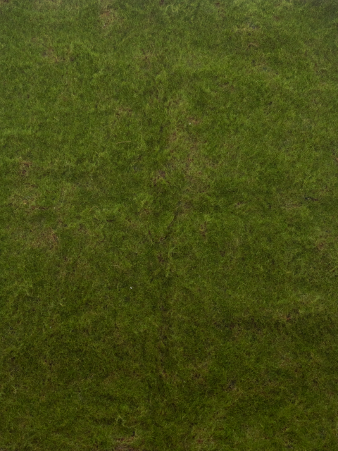 https://cdn.warentuin.nl/media/catalog/product/S/C/SCAN8505422276016_moss_mat_green_100x100cm_30aa.png