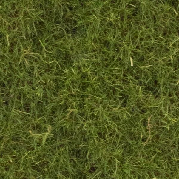 https://cdn.warentuin.nl/media/catalog/product/S/C/SCAN8505422280013_01_moss_mat_green_50x50cm_76f7.jpg