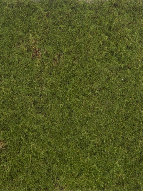 https://cdn.warentuin.nl/media/catalog/product/S/C/SCAN8505422280013_moss_mat_green_50x50cm_6b42.png