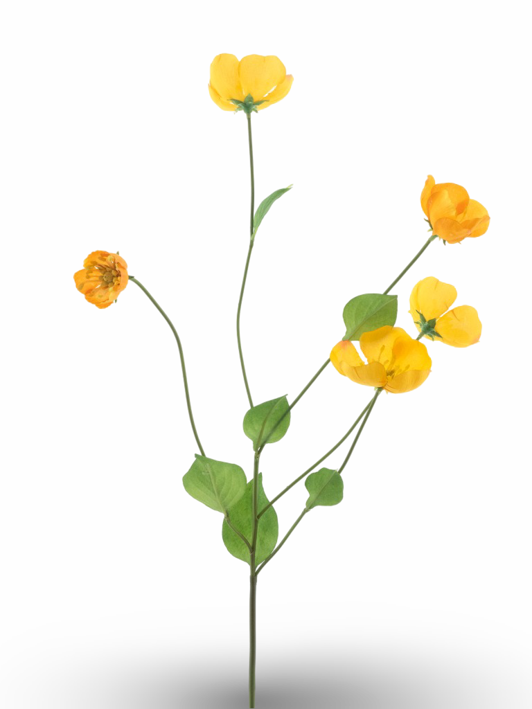 https://cdn.warentuin.nl/media/catalog/product/S/C/SCAN8505422346023_01_2052.png