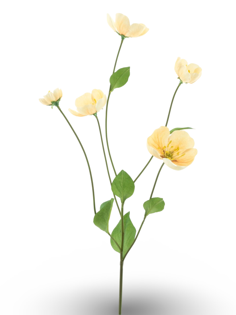 https://cdn.warentuin.nl/media/catalog/product/S/C/SCAN8505422346054_01_e3b7.png