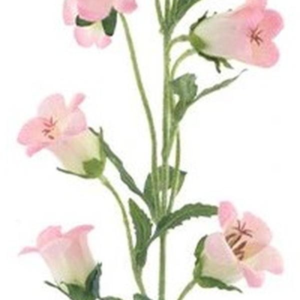 https://cdn.warentuin.nl/media/catalog/product/S/C/SCAN8505422546072_01_campanula_roze_88_cm_kunstbloem_buiteng_68ed.jpg