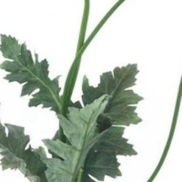 https://cdn.warentuin.nl/media/catalog/product/S/C/SCAN8505422553001_01_poppy_casper_creme_93_cm_kunstbloem_bui_59a7.jpg