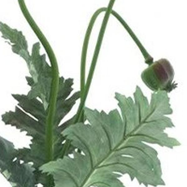 https://cdn.warentuin.nl/media/catalog/product/S/C/SCAN8505422553032_01_poppy_casper_rood_93_cm_kunstbloem_buit_4868.jpg