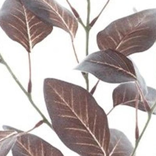 https://cdn.warentuin.nl/media/catalog/product/S/C/SCAN8505422604086_01_eucalyptus_brown_72_cm_kunsttak_buiteng_2146.jpg