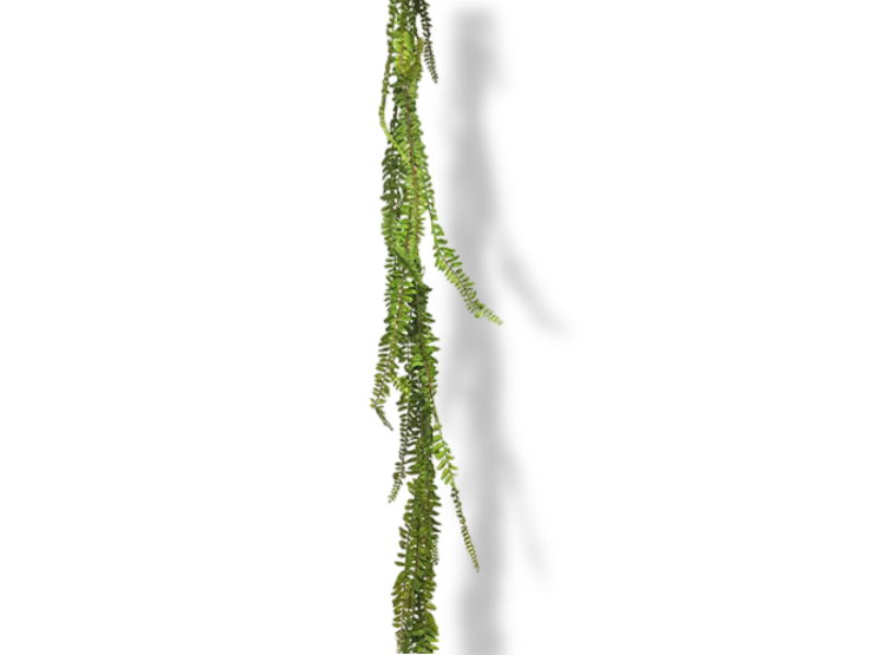 https://cdn.warentuin.nl/media/catalog/product/S/C/SCAN8505432060018_01_nova_nature_kunst_fern_garland_green_180_cm__a233.jpg